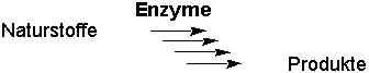 wpe1.jpg (3565 bytes)